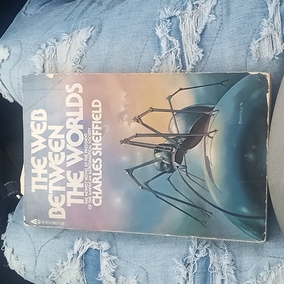 The web between the world's - Picture 1 of 4